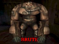 Brute