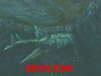 Devilfish