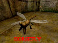Horsefly