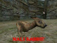 Nali Rabbit