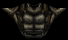 The Armor