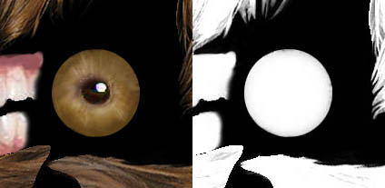 eye texture