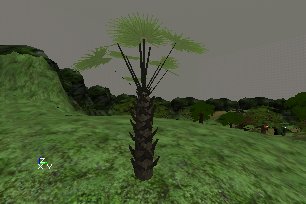 tree1.jpg