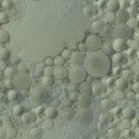 The default texture.