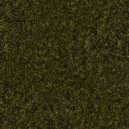 a moss texture
