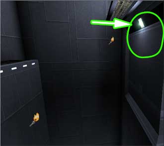 This light is used as the hotspot.  It is not showing the torch graphic because its texture been changed to a corona to imitate a flare. * Radius: 8 (very small) * Brightness: 255 (100%) * Light Effect: Steady.  This light type fades to shadow starting almost at the center of the light source, which is why we cranked the brightness.  The small radius allows us to emphasize the hotspot.