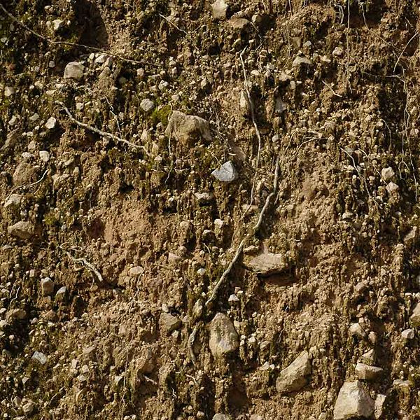 File:Legacy AS EarthRough0009 L 2.jpeg