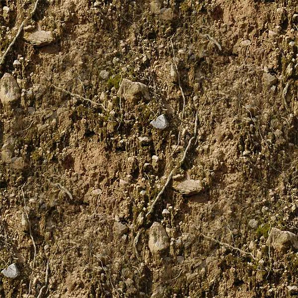 File:Legacy AS EarthRough0009 L 3.jpeg