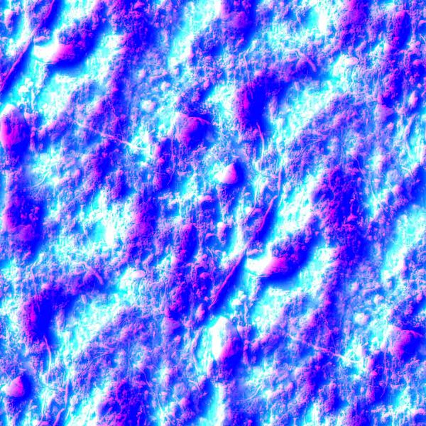 File:Legacy AS Earthrough0009 l SPECDISP.jpeg