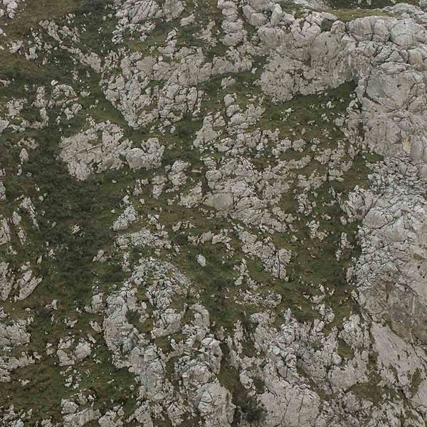 File:Legacy AS RockGrassy0037 L 2.jpeg