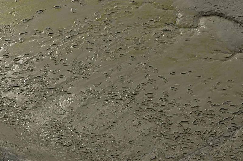 File:Legacy DMSiesmic MudImage.jpeg