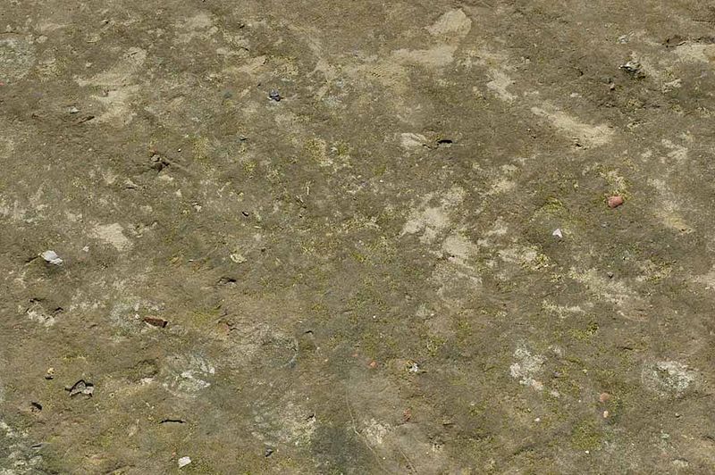 File:Legacy DMSiesmic SandImage.jpeg